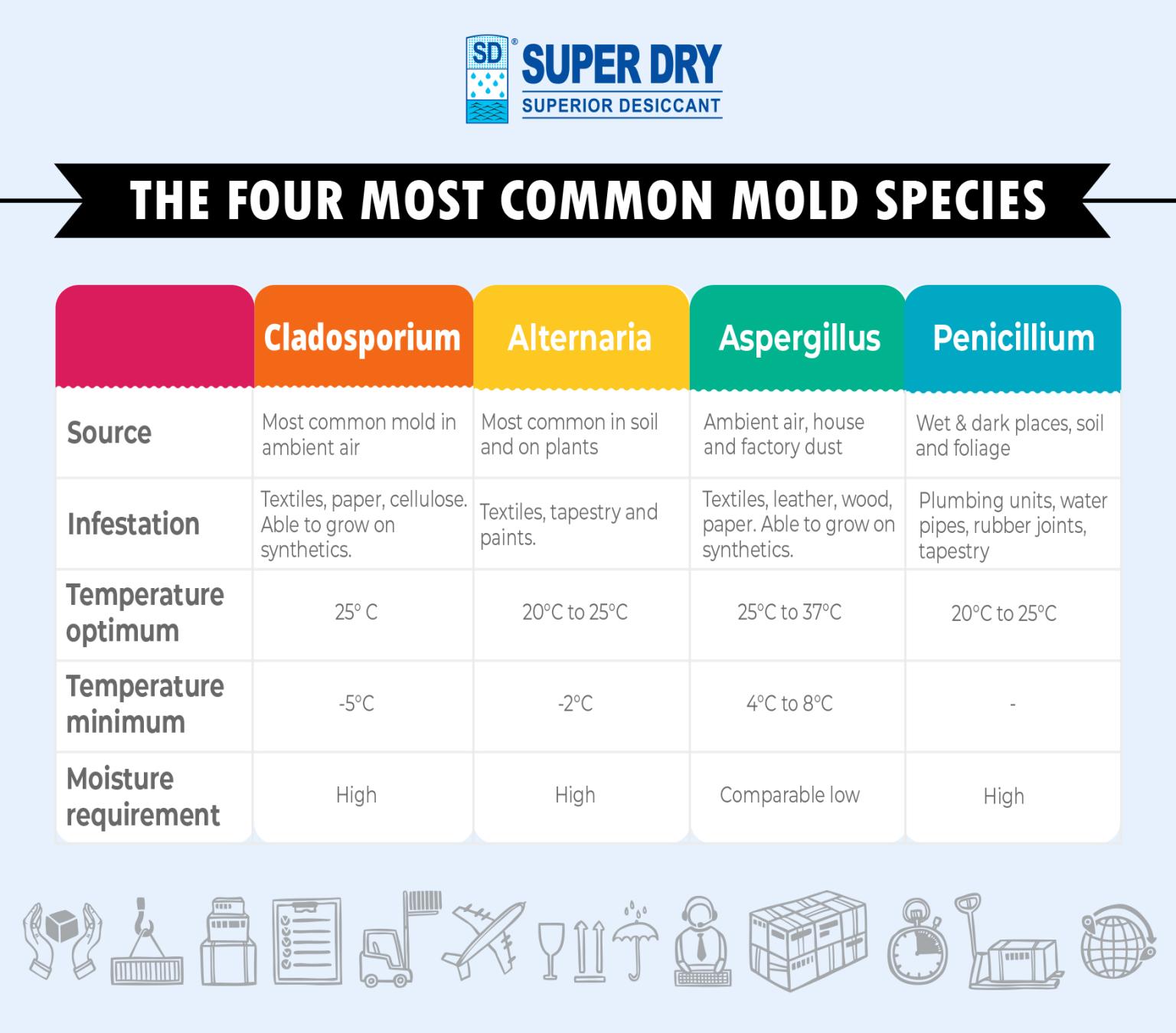 #The four moist Common Mold Species